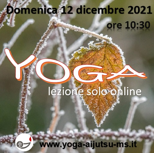 Yoga Ai-Jutsu - evento 12 dicembre 2021