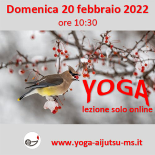 allenamento domenicale - Yoga-Ai-Jutsu-lezione-20.02.2022