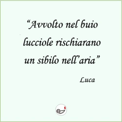 16.HAIKU_Luca